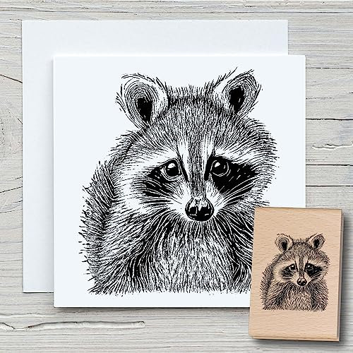 NEWSTAMPS Stempel Waschbär 02 Motivstempel aus Holz & Gummi zum Karten und Geschenke basteln, Holzstempel für Tiere, Tierstempel, Scrapbook, Textilstempel, Deko, Kinder