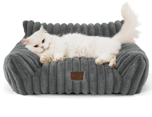 BEDSURE Katzenbett groß orthopädisches Katzensofa - 61x46x25cm Hundesofa kleine Hunde waschbar Katzencouch, rutschfeste Katzenbett flauschig, dunkelgrau