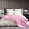 Gezu Satin Decke Kuscheldecke 220x240 Rosa Satin Sofadecke Kühlende Seidige Seide Sommerdecke Leicht Weich Luxus Glatt Glänzend Tagesdecke Kuscheldecke für Bett Sofa Couch Schlafzimmer Büro Reisen