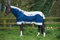 Horseware RAMBO Summer Series Turnout Übergangsdecke Regendecke (140)