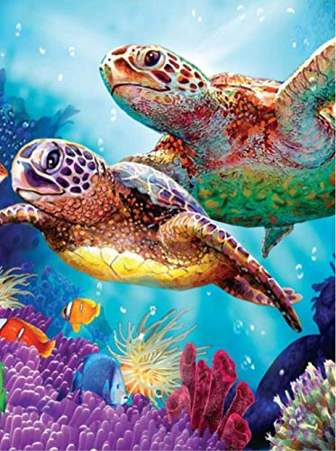 FDDPT Peinture à l'huile par Numéro Adulte Tortue de Couleur DIY Peinture par Numéro Enfant Seniors Débutant Cadeau Décoration de Maison 40x50cm