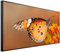 Ecowelle Infrarotheizung mit Bild | 750 Watt | 60x120 cm | Infrarot Heizung| | Made in Germany| b 101 Schmetterling