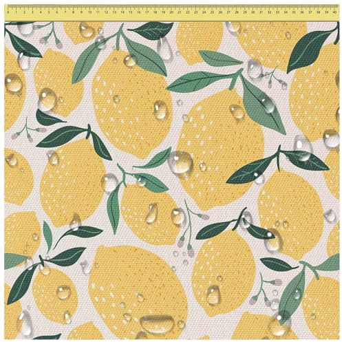 DreamRoots Segeltuch Wasserdicht - Polsterstoff Meterware 160 cm breit - Wasserabweisender Stoff 220 g/m2 600D - Markisenstoff Wasserdicht Meterware Lemons Cartoon 2M