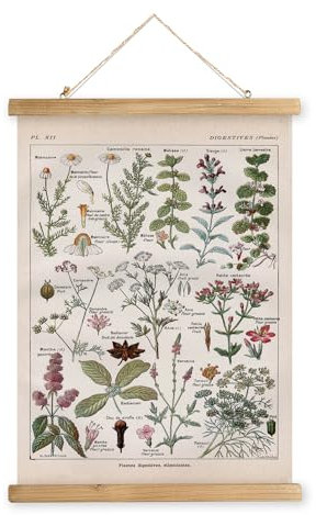 XIAOAIKA Vintage-Poster zum Aufhängen mit Holzrahmen, Retro-Stil, Wanddekoration, Kunstmalerei, Muster gedruckt auf Leinen, ohne zu verblassen, fertig zum Aufhängen (Pflanzen), 30 x 40 cm