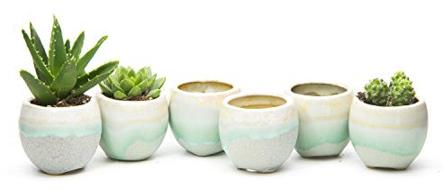 goldblue Fließende Glasur schwarz & weiß Basis Keramik Sukkulenten Blumentopf Kaktus Blumentopf Container Übertopf (grün, 6)