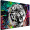 Feeby Wandbilder Vlies Tiere Abstrakt Tiger 90x60 cm Druckbild Wandbild 1-teilig Wanddekoration Deko Wand Aesthetic Aquarell Farbflecken bunt
