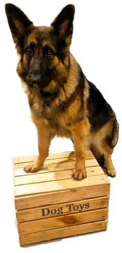 Large Dog Toys Chest Storage Collection Tidy Box Wooden Crate Gift Organiser WITH LID