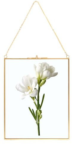 ZOFUN Bilderrahmen aus Kupfer, 25x20cm Hängender Glas-Bilderrahmen Glasrahmen Messing Hängende schwimmende Glas Fotorahmen, Gold Geometrische Ornament Pflanze Probe Clip