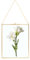 ZOFUN Bilderrahmen aus Kupfer, 25x20cm Hängender Glas-Bilderrahmen Glasrahmen Messing Hängende schwimmende Glas Fotorahmen, Gold Geometrische Ornament Pflanze Probe Clip