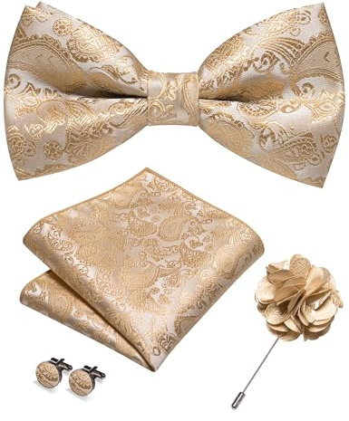 JEMYGINS Herren Paisley Fliegen set inklusive Einstecktuch Manschettenknöpfen und Boutonniere geeignet für Hochzeitsbankette und Partys Champagner Gold