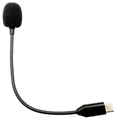 Zqxnt Abnehmbarer Typ C Mikrofone Boom Für Online Meetings Und Musikaufnahmen Ohne Zusätzliche Treiber Tragbare Mikrofone