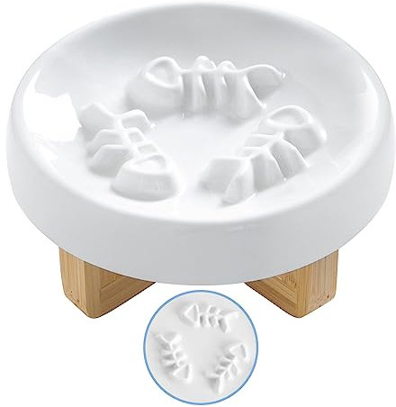 DDMOMMY Ceramic Cat Dog Feeder, Slow Feed Bowl with Stand, 2.5'' High, 5.2'' Wide, Whisker Friendly, Easy to Clean, for Cats and Small Dogs