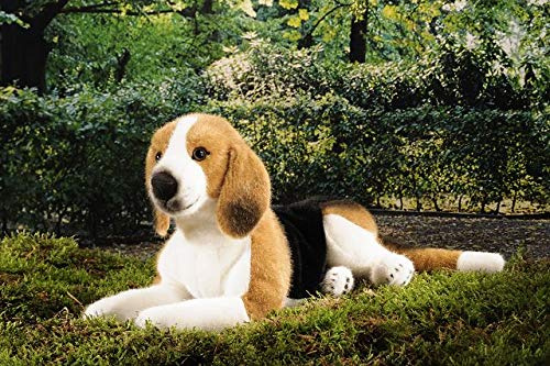 Kösener 7300 Beagle liegend braun/weiß/schwarz 38 cm Plüschbeagle