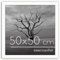 Americanflat Cadre Photo 50x50 cm en Blanc - Bois D'ingénierie avec Verre Résistant aux Chocs et Matériel de Suspension - Formats Horizontaux et Verticaux pour Mur