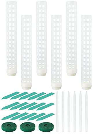 KeuLen Support for fraisiers, 6 poteaux en Plastique for Mousse, 38 cm, en Maille Transparente for Plantes Monstera en Pot