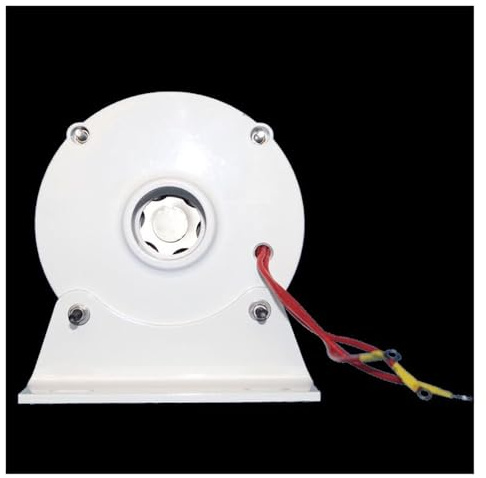 Generatore di turbina eolica a bassa velocità 500 giri/min 6000W 4KW 5KW 6KW 12V 24V 48V Generatore di turbina eolica trifase for turbina eolica fai-da-te per casa, fattoria, camper, barche(With base,