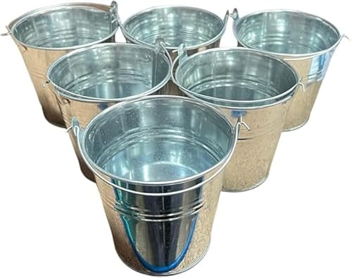 ALUNA 6pcs Galvanized Zinc Metal Bucket with Handle Tin Pot Garden Planter Herb Flower in Various Sizes (10cm x 10cm)