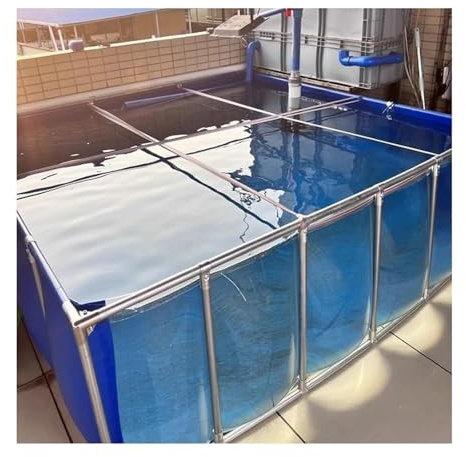 Piscina fuori terra, Stagno for koi fuori terra, rivestimento in tela di PVC, finestra trasparente, struttura in acciaio(200x100x71cm)