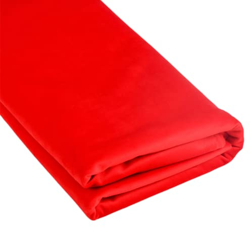 TinaKim Upholstery Velvet Fabric Couch, for Sofa Chair Cover Material, DIY Repair (Red, 10 Yards)