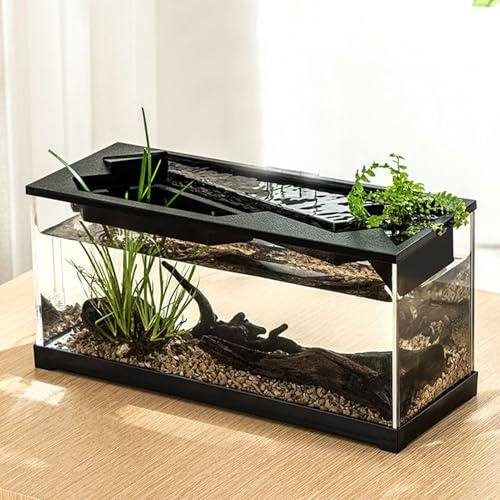 Acryl-Schreibtisch-Aquarium – transparentes Mini-Fischtank, kompakter Tisch-Lebensraum | kleines Starter-Set mit Filter-Luftpumpe, Wohnzimmer, Studio, Heimdekoration, Haustier-Ausstellungsbehälter für