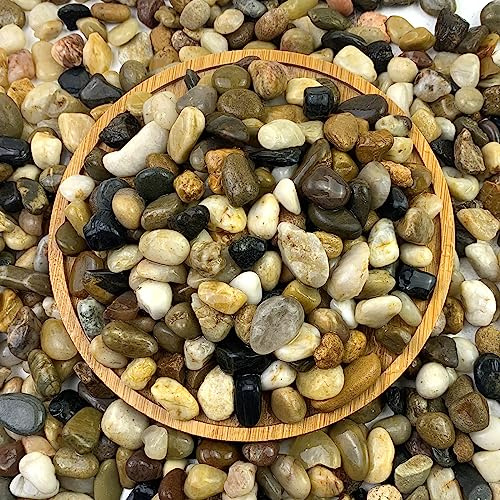 FANTIAN 2 lb Aquarium Gravel, Fish Tank Gravel,8-12 mm Pea Gravel for Plant | Natural Pea Shingle, Decorative Stone Pebble for Plant Pot, Garden, Fish, Aquatic, Vase, Soil Drainage,Terrarium, Pond Gravel