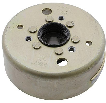 VANEZ Polrad für Lichtmaschine Zündung kompatibel für CPI Aragon, Formula, Explorer Race GT, Generic XOR