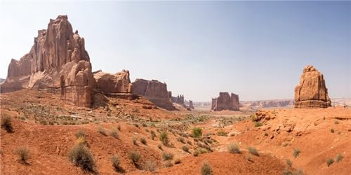 MIRRORANG 180x61cm Sonne und Wüste Terrarium Hintergrund Felsige Oase Gobi Reptilien Lebensraum Hintergrund Vinyl Hintergrund