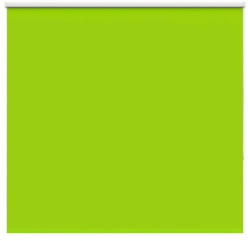 vidaXL Verdunkelungsrollo Grün 155x150cm Stoffbreite 151,6cm Polyester