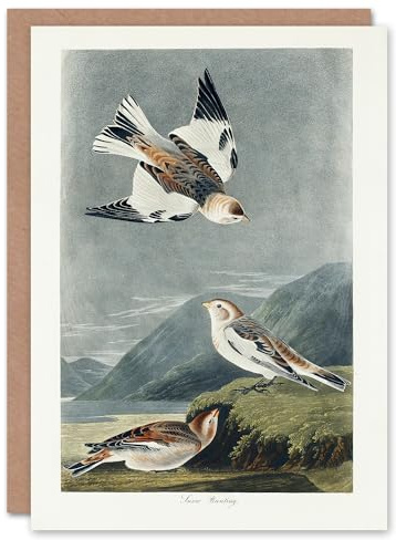 Artery8 John James Audubon Art Card Birds of America Snow Bunting