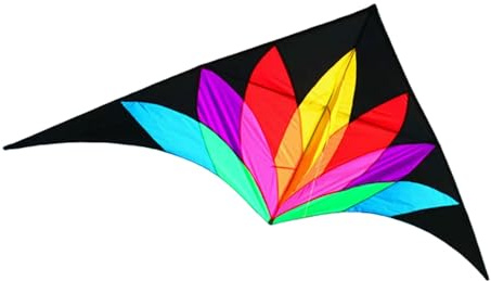 ZCABYBD Aquilone Spedizione 2m Grande Delta Arcobaleno con Code da 10m Linea di Volo Aquiloni per Bambini Professionali Rimbalzo dell'Aria-1 Pz