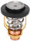 Qiilu Thermostat, Boot Motorkühlung Klimatisierungsthermostat Passend für F75 F80 F90 F100 VF200 3P-225P Leistung Außenborder 67F-12411-01