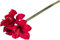 Botanic-Haus künstliche Amaryllis (weihnachtliche Dekoration) mit 3 Blüten und 1 Knospe (rot)