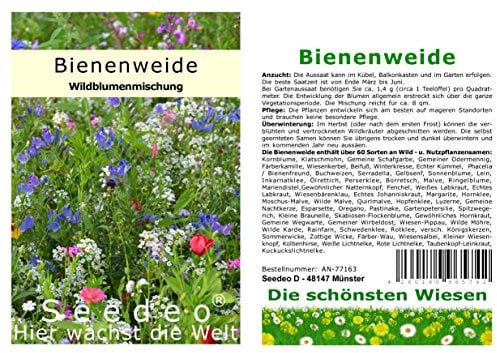 Seedeo® Bienenweide/Wild- und Nutzpflanzenwiese