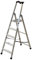 Escabeau Professionnel FACAL QUADRA 5 marches 1,88 m - Q50/5
