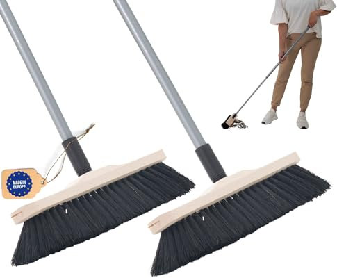 Novaliv 2X Rosshaarbesen mit Stiel feines Tierhaar Schweifhaar weich Zimmerbesen Kehrbesen Handbesen Teleskopstiel (2, Zimmerbesen+Stiel)