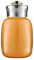 Petite gourde isotherme isotherme sous vide 280 ml - En acier inoxydable - Pour enfants, femmes, école, bureau, café, lait et thé - Orange