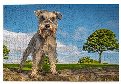 Puzzles 1000 Stück Schnauzer Hunde Haustiere HDR Schnauzer Holz Puzzle Spielzeug Familienspiel Wanddekoration für Erwachsene Jugendliche