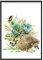 Artze Wall Art Baby Igel Aquarell Poster 40cm Breite x 50cm Höhe