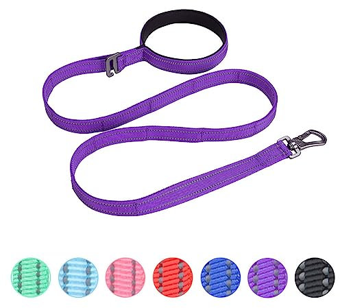 EXCELLENT ELITE SPANKER Reflektierende Nylon Hundeleine Gepolsterter Griff 5 FT Hundeleinen mit Schnellverschluss für mittlere & große Hunde（Violett）