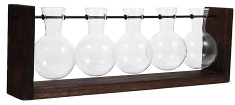 Toddmomy Wall-mounted Pflanzen Terrarium Mit Holzständer Für Hydroponische Dekoration Im Innenbereich Wandvase Für Wasser Und Luftpflanzen Für Zuhause Und Büro