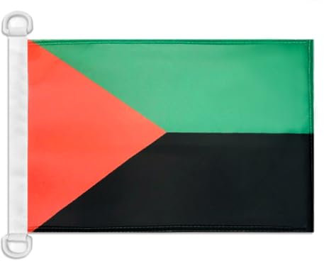 Pavillon nautique Martinique indépéndantiste 45x30cm - Drapeau de bateau nationaliste martiniquais 30 x 45 cm - AZ FLAG