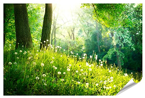 islandburner Bild Poster Spring Nature Schöne Landschaft Grünes Gras Und Bäume Premium Fotodruck 90x60cm