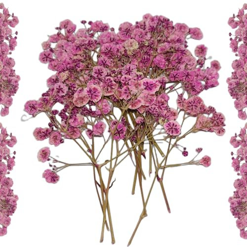 Trockenblumen zum Basteln Getrocknete Schleierkraut - 20 Stück Gepresste Baby’s Breath Deko Blumen Rosa für DIY, Kerzen, Harz, Schmuck, Nagelkunst & Deko Hochzeitsgeschenk