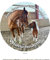 Tortenaufleger Wunschname, Pferd, Islandpony, Sport, Tortendeko, Cake Decoration Fondant, Ø 20cm, 07110 Top Qualität