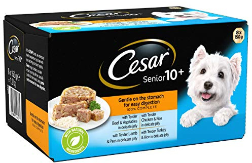 Cesar Senior Dog Trays Mixed Selection In Jelly 3.6 kg Pack of 3