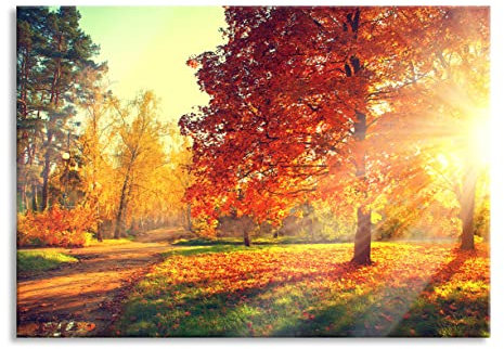 Pixxprint Glasbild, Wandbild aus Echtglas, Weg durch bunten Herbstwald, 80x60 cm, inkl. Aufhängung und Abstandshalter