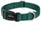 Hyhug Design Classic Basic Nylon Dog Collar, Can Install Dog Tag (Medium, Dark Green)