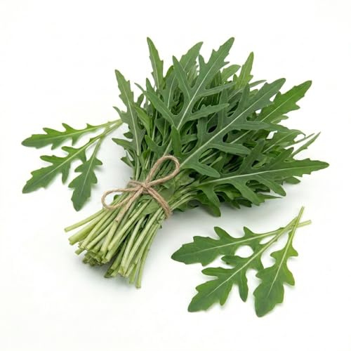 Semi di Rucola Selvatica da 6g | Rucola da Coltivare per Orto, Vaso e Balcone | Crescita Rapida, Alta Germinazione | Semi Ortaggi per Orto Domestico