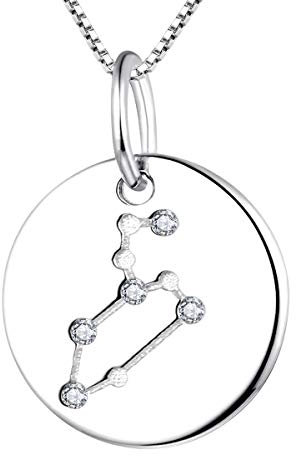 YL Silber Löwe Halskette-925 Sterling Silber CZ Horoskop Sternzeichen 12 Konstellation Anhänger Halskette für Frauen und Mädchen