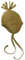 Engel Natur, Fleece Mütze, 100% Wolle (kbT) (74/80, Safran Melange)